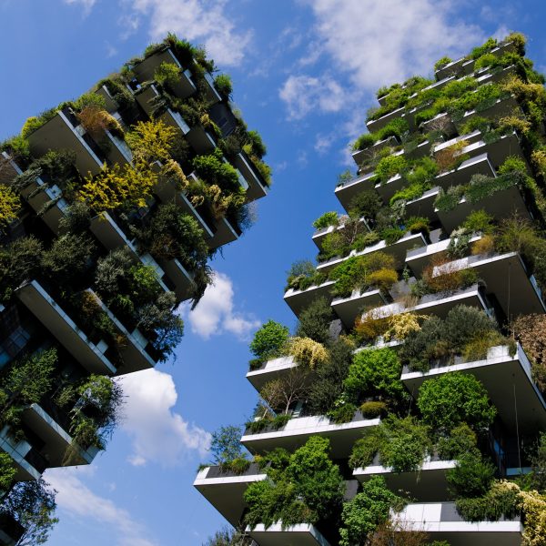 Torri Bosco Verticale