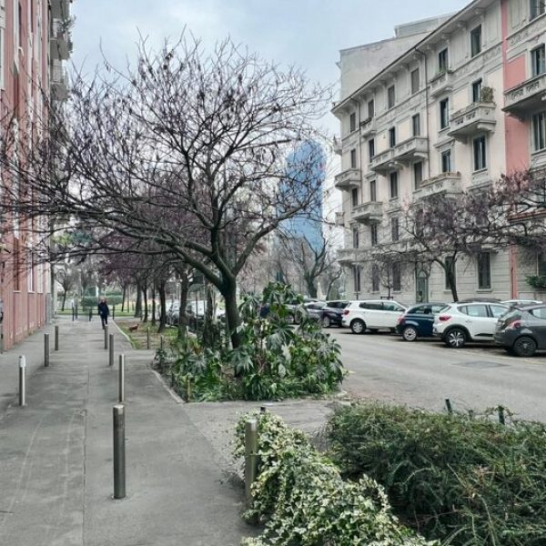 WhatsApp Image 2026-01-10 at 11.40.50