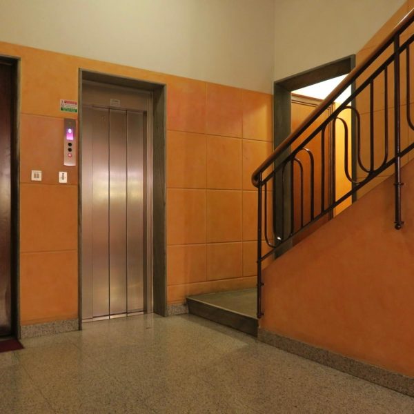 WhatsApp Image 2026-03-03 at 11.27.54