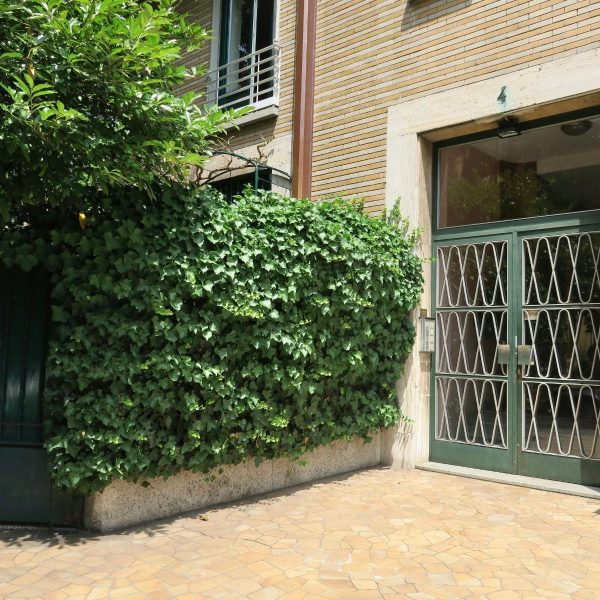 WhatsApp Image 2026-03-03 at 11.27.55 (1)